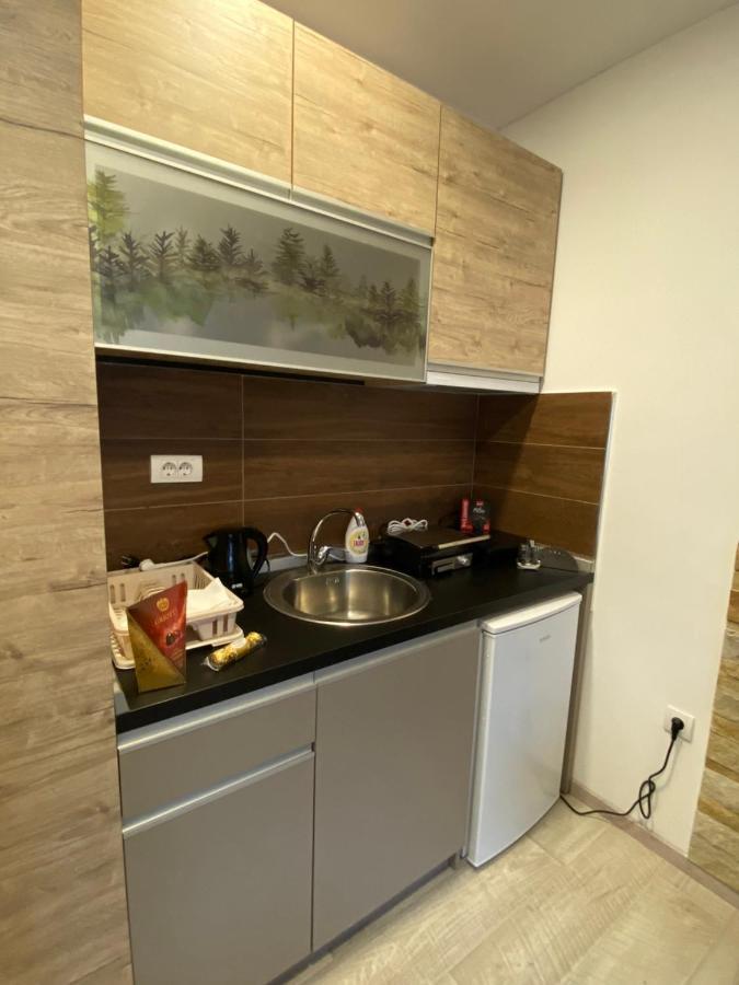 Kopaonik Apartmani Milmari - Katic Esterno foto